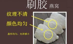 教你怎么辨别挑选真假燕窝