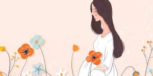 蒋博士谈燕窝：孕妇吃燕窝须知