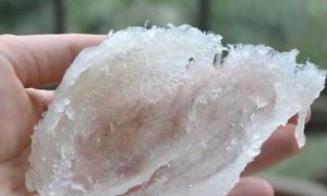 燕窝的泡发方法