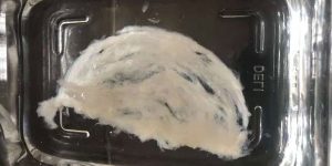 为什么燕窝泡发后是散开的？