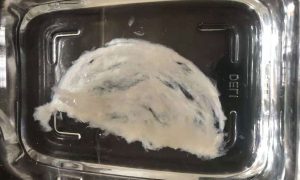 为什么燕窝泡发后是散开的？