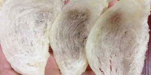 燕窝的功效与作用价格