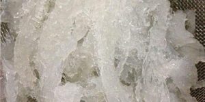 燕窝哪个国家的好？