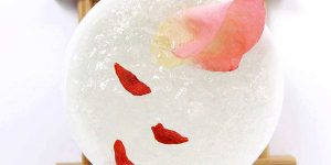 手把手教你炖燕窝方法步骤
