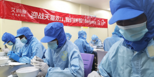 燕窝销售增长300% 马来挑毛工薪水翻倍缩略图