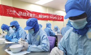 燕窝销售增长300% 马来挑毛工薪水翻倍缩略图