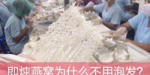 即炖燕窝为什么不用泡发？
