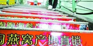 广州燕窝批发市场在哪里？