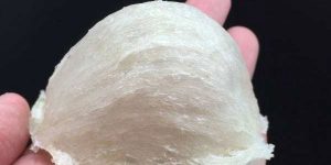 燕窝造假手法（3）——刷胶燕窝
