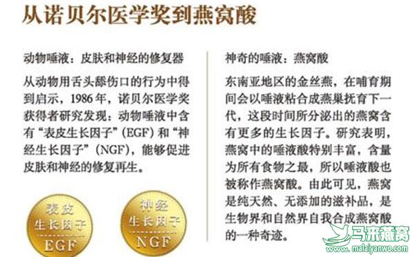 燕窝酸是燕窝最重要的营养成分