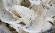 燕窝腥味大怎么回事