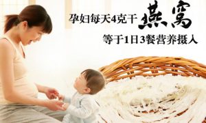 孕妇每天4克干燕窝=1日3餐营养摄入