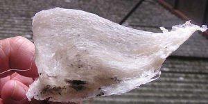 孕妇一周吃几次燕窝？